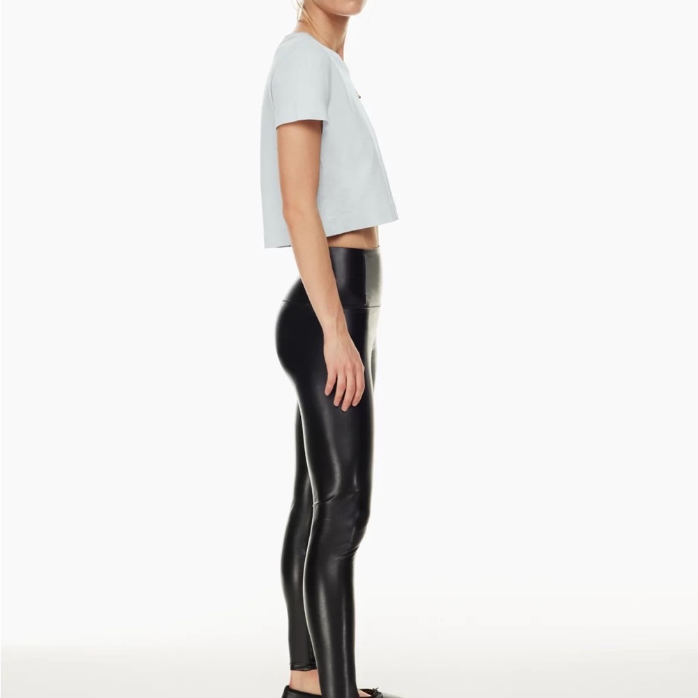Aritzia Wilfred free Daria leather Pant